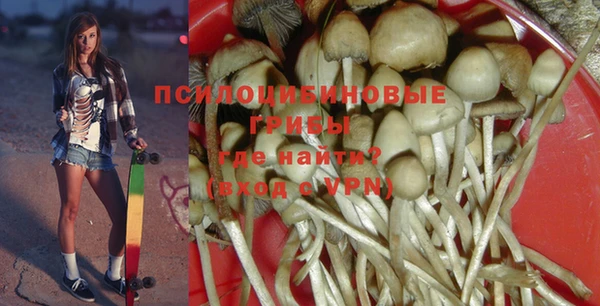 герыч Алзамай
