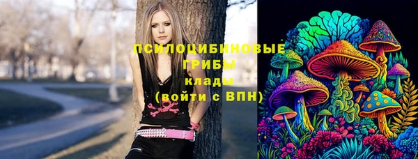 прущая мука Алексин