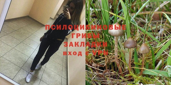 метадон Алексеевка