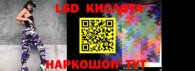 прущие грибы Канаш