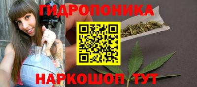 прущие грибы Канаш