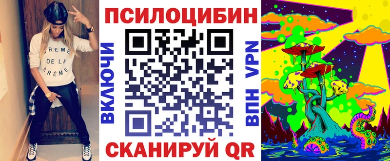 Псилоцибиновые грибы Magic Shrooms  купить  сайты  Кызыл 