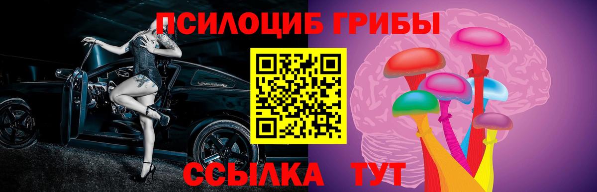 Кызыл  Псилоцибиновые грибы прущие грибы  Вход с VPN 